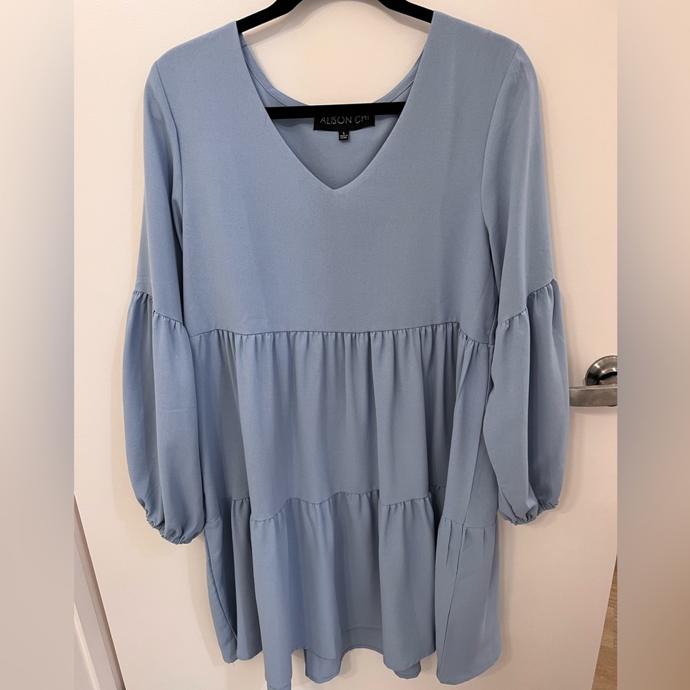 alison chi long sleeve dress